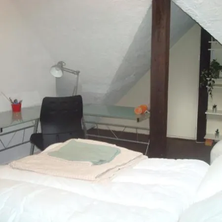 Cosy Quartier Orangerie Apartment Strasbourg